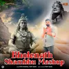 Bholenath Shambhu Mashup